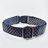 Blue, Navy blue with Golden Scale Pattern Dog Collar - S-L sizes with custom matching pet tag - Adventures of Rubi